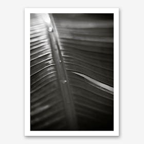 Botanical 1  Banana Leaf Art Print