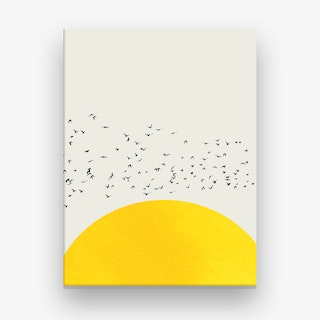 A Thousand Birds Canvas Print