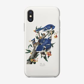 Blue Jay   Audubon Birds Phone Case