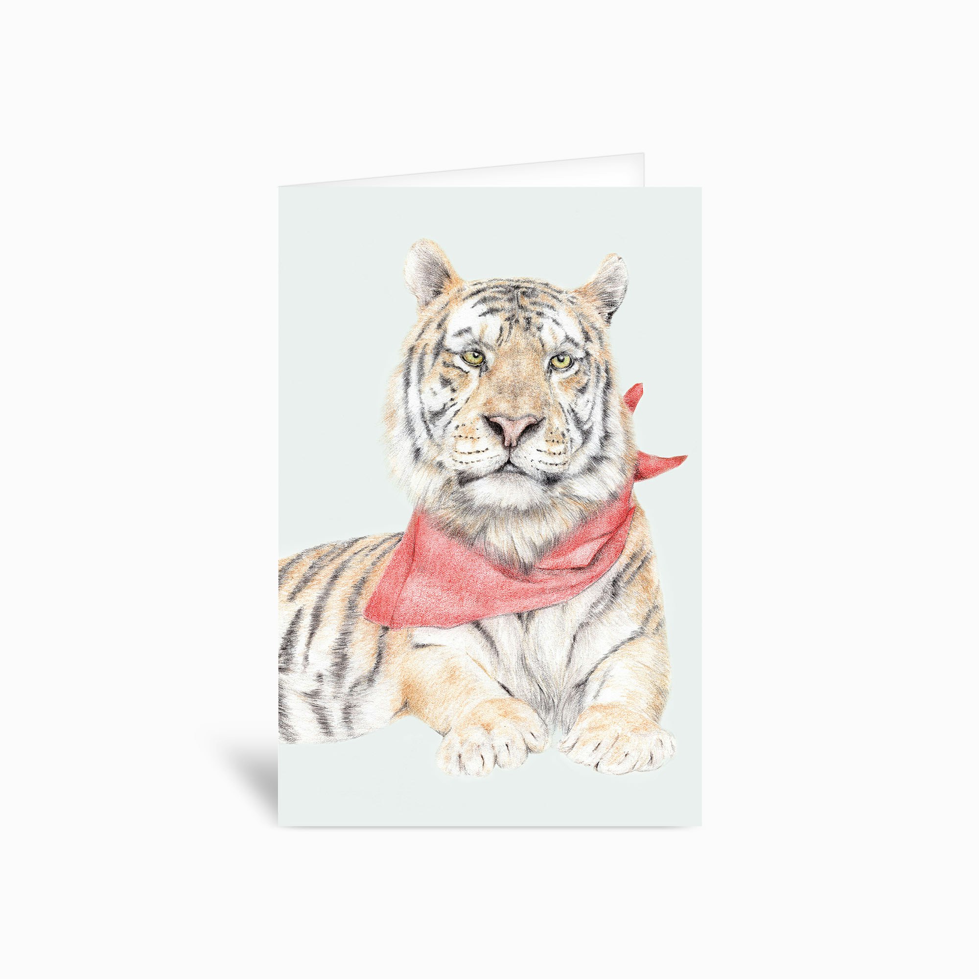 Tiger 4x6 Greetings Card by Carmen Hui