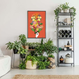 Gifts For Plant Lovers