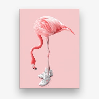 Sneaker Flamingo Canvas Print