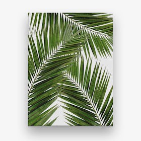Palm Leaf III Canvas Print