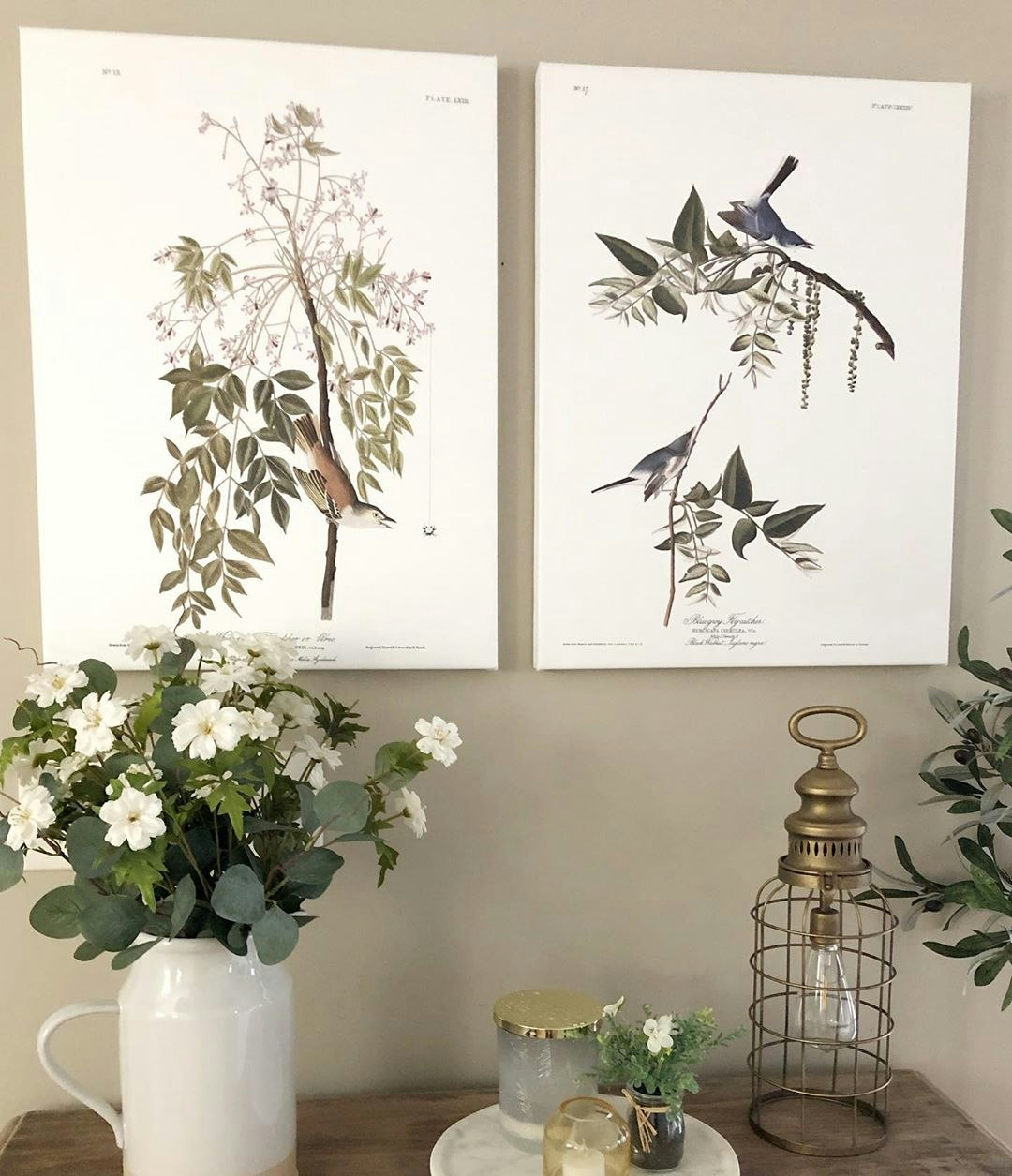 Bluegrey Flycatcher Poster