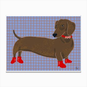 Dog With Booties Canvas Print