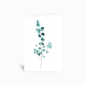 Eucalyptus Greetings Card