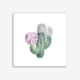Cactus V Art Print Art Print