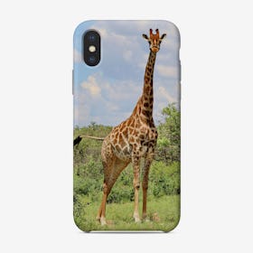 Giraffe 1467 Phone Case