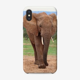 Elephant Portrait 1 Phone Case