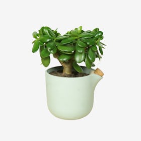 Green Natural Balance Flowerpot