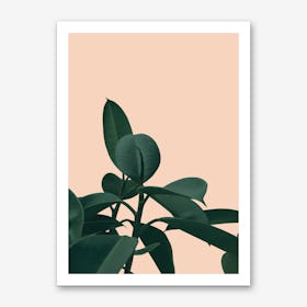 Terracotta Plant Art Print