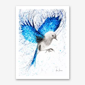 Mediterranean Wings Art Print