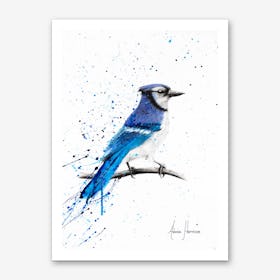 Blue Jay Sunday Art Print