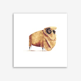 Sheep Art Print I