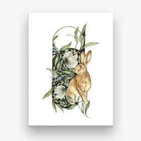 Celtic Wild Hare Canvas Print