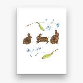 Forget Me Not Rabbits Canvas Print