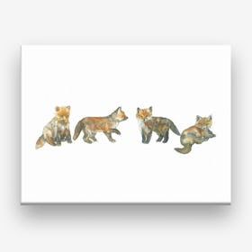Fox Cubs Canvas Print
