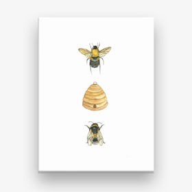 Bumblebee Family Canvas Print