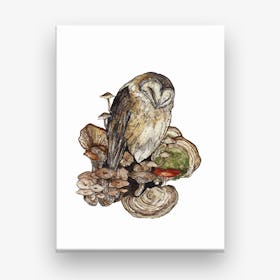 Sleeping Owl Canvas Print