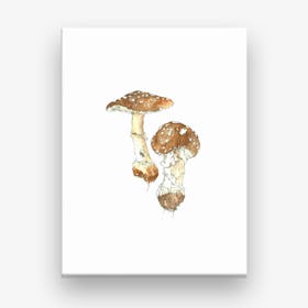 Toadstool Miniature Canvas Print
