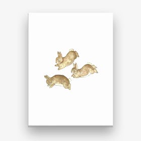 Frolicking Rabbits Canvas Print