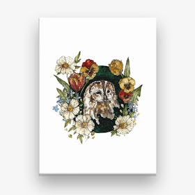 Tawny Owl Canvas Print
