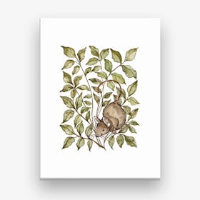 Meadow Mouse Canvas Print