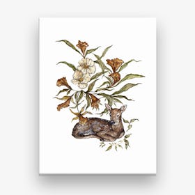 Wildflower Fawn Canvas Print
