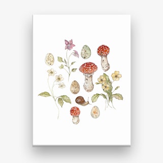 Summer Meadow Collection Canvas Print