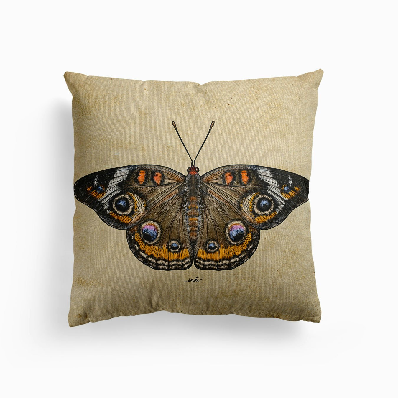 Buckeye Canvas Coussin