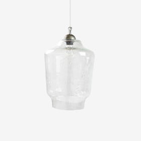 BEE Pendant Light in Transparent