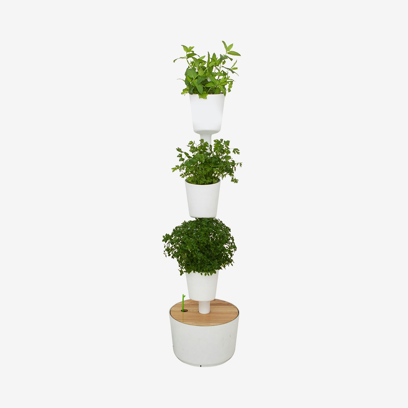 Digital 3-Plant Vertical Garden with Herb Seeds - White