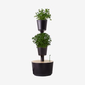 Digital 2-Plant Vertical Garden with Herb Seeds - Black