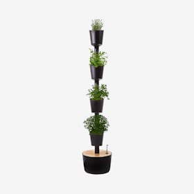 Digital 4-Plant Vertical Garden with Herb Seeds - Black