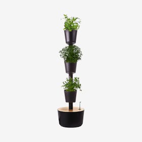 Smart 3-Plant Vertical Garden with Herb Seeds - Black