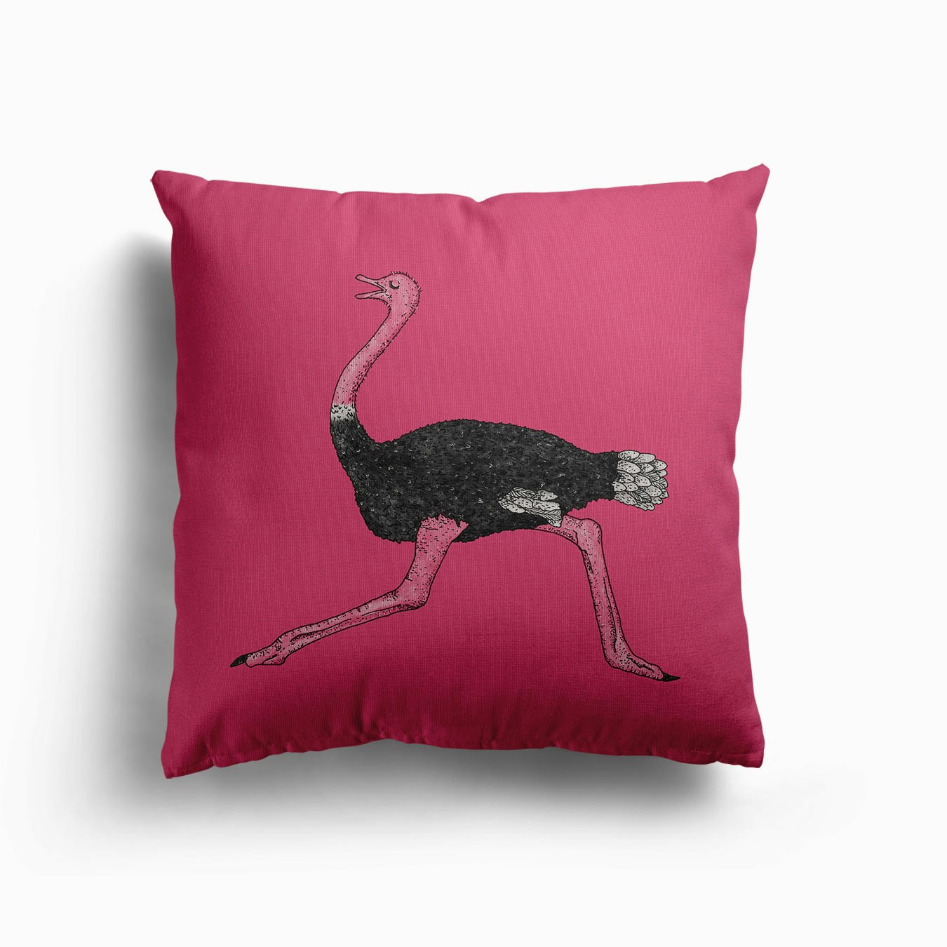 Running Ostrich Canvas Cuscino