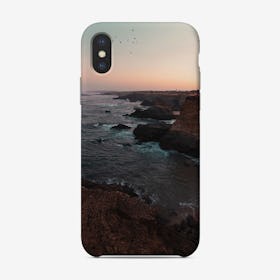Seagulls And Cliffs Phone Case