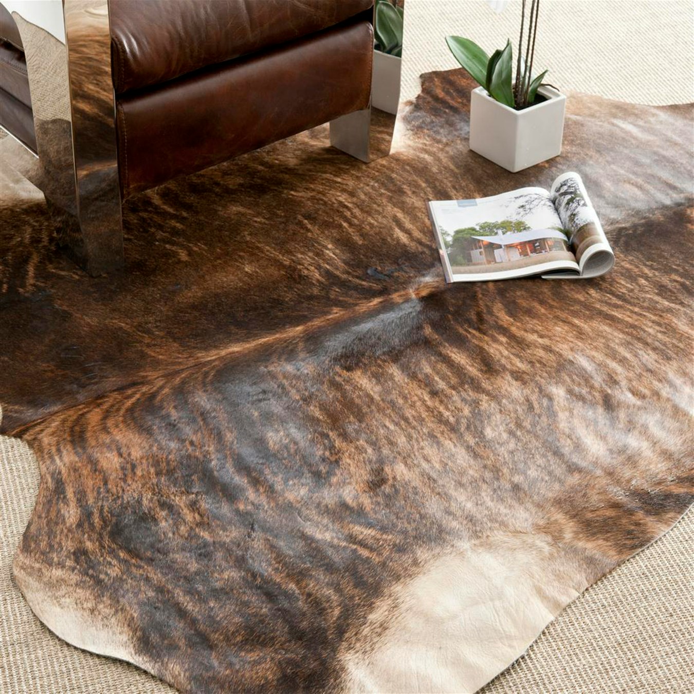 Gaucho Cowhide Area Rug Black Brown By Safavieh Fy