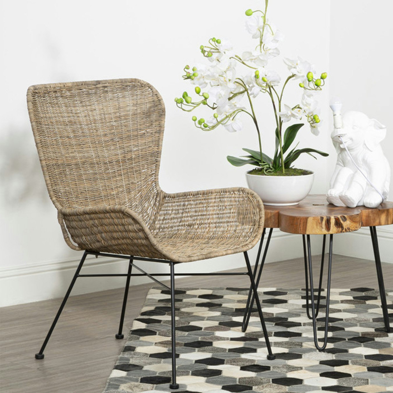 Manado Chair - Natural - Rattan by Fifty Five South