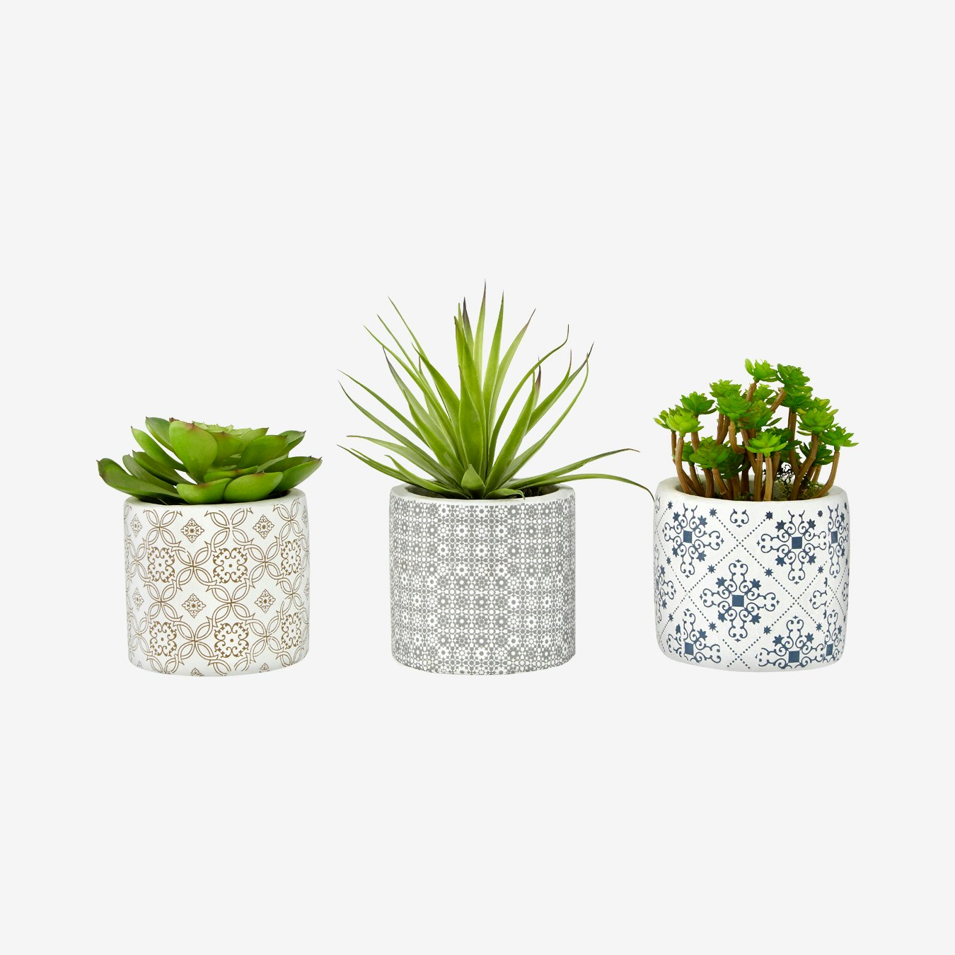 Artificial Succulents in Ceramic Pots - Set Of 3 by Fifty Five South