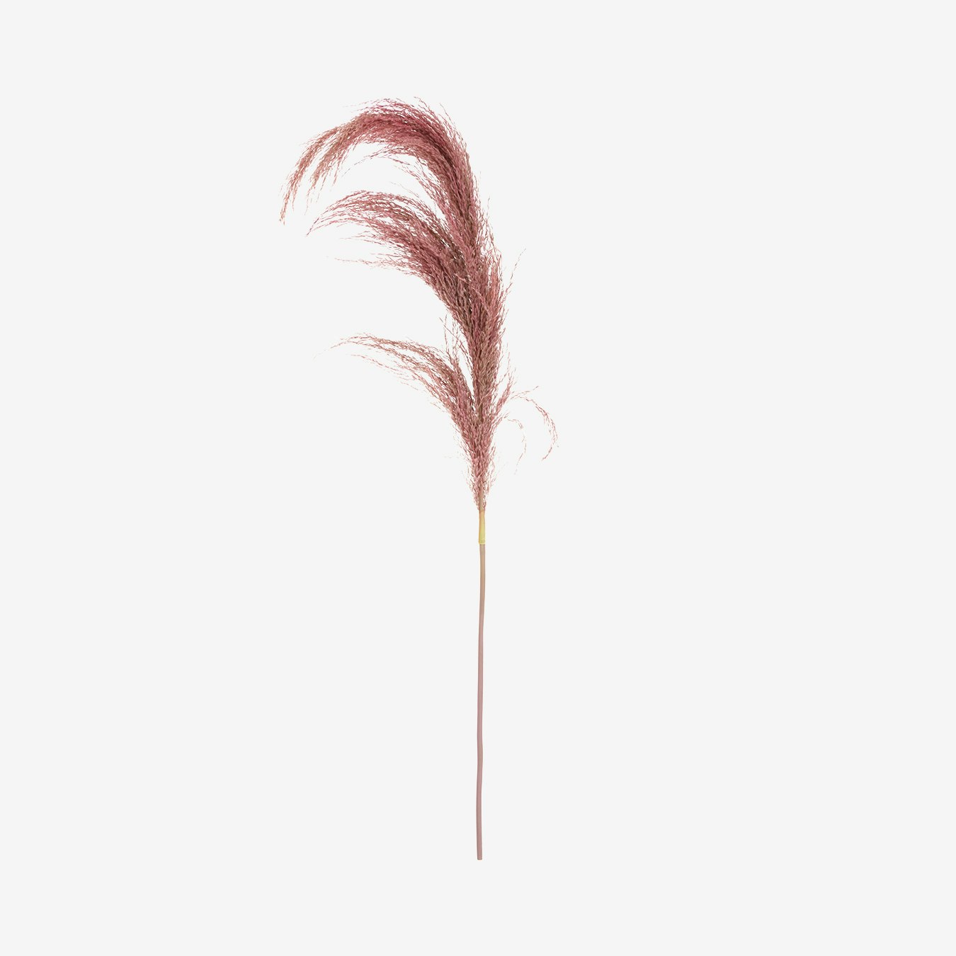 Artificial Pamps Grass Stem - Pink by Fifty Five South