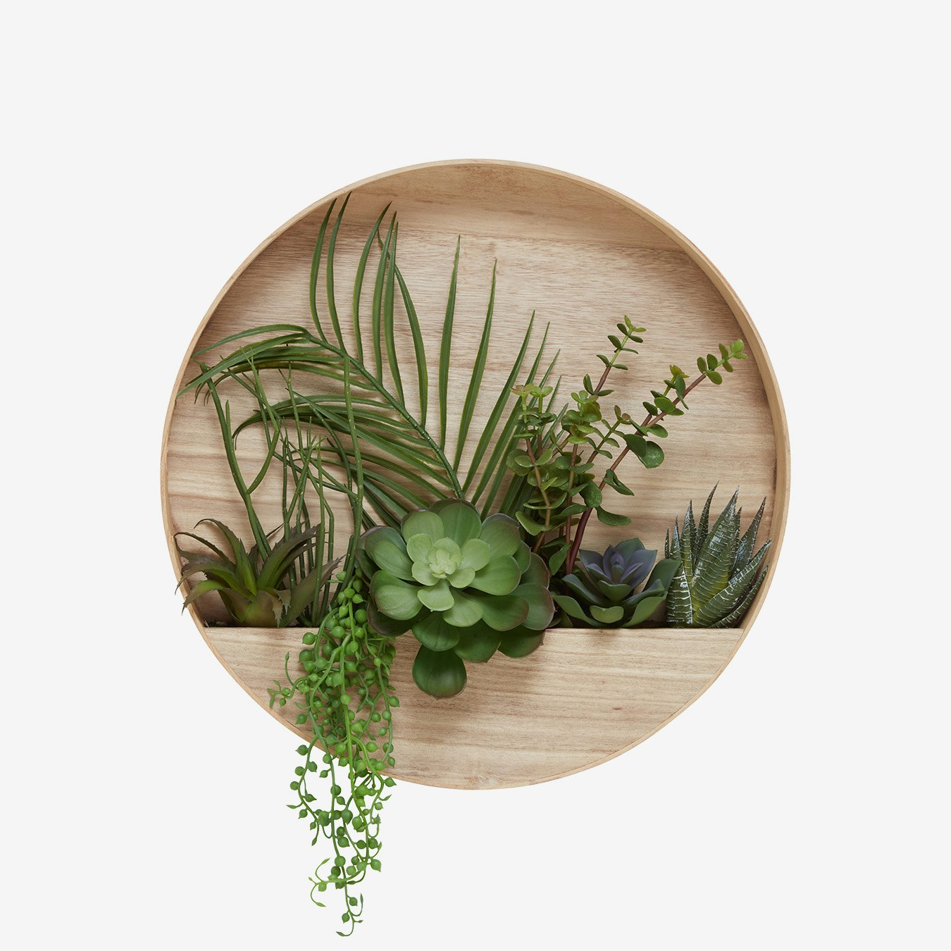 Artificial Succulents in Round Wall Planter by Fifty Five South