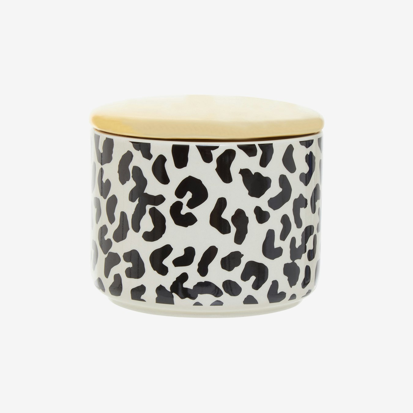 London Leo Decorative Stoneware Canister by Fifty Five South