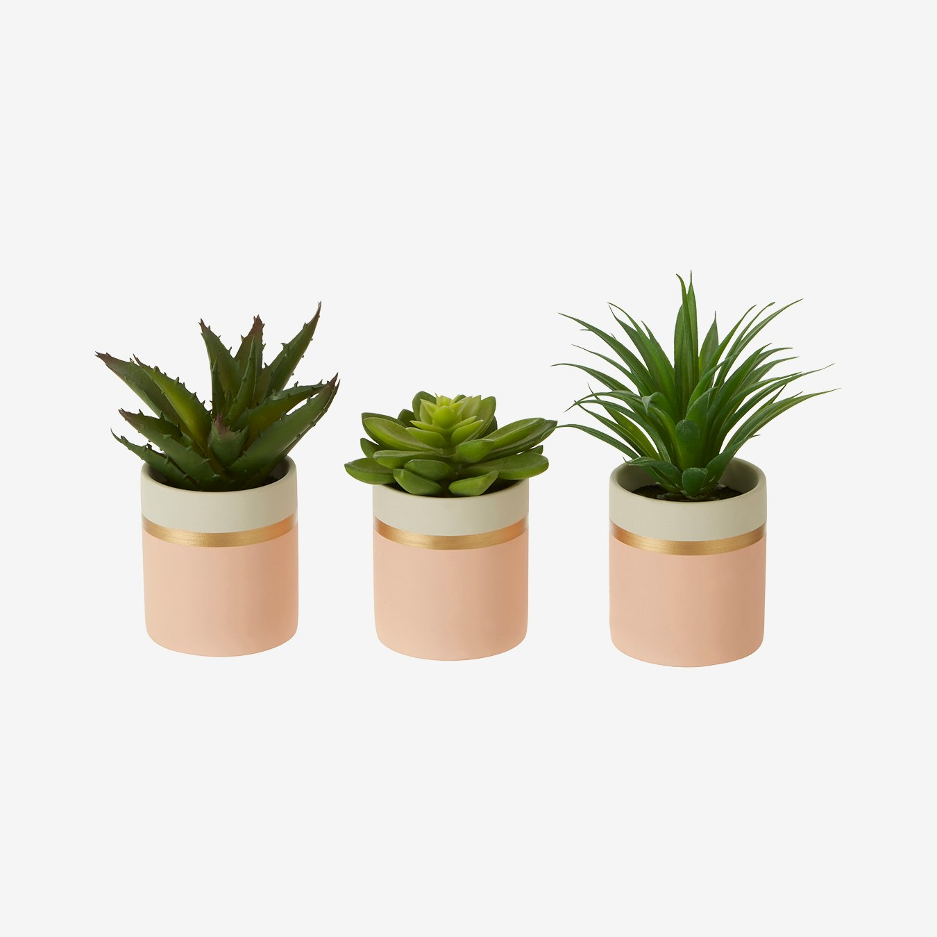 Fiori Succulents - Faux Plant and Pot - Pink / Gold - Ceramic - Set of 3 by Fifty Five South