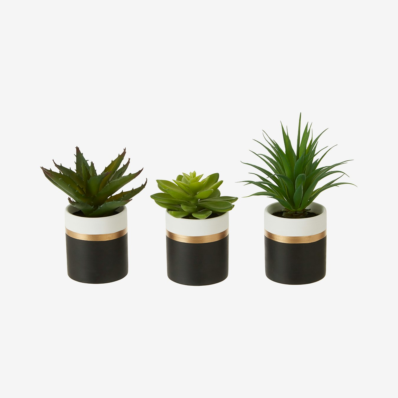Fiori Succulents - Faux Plant and Pot - Black / Gold - Ceramic - Set of 3 by Fifty Five South