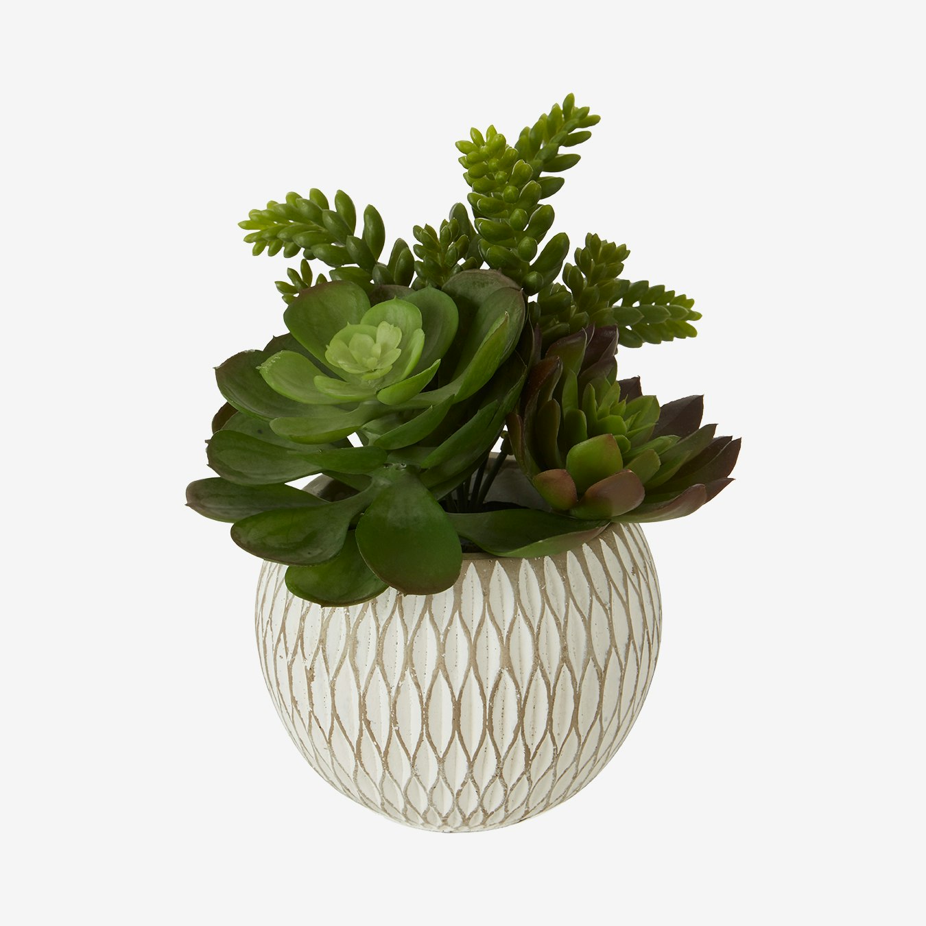 Fiori Mixed Succulent - Faux Plant and Pot - White - Ceramic by Fifty Five South