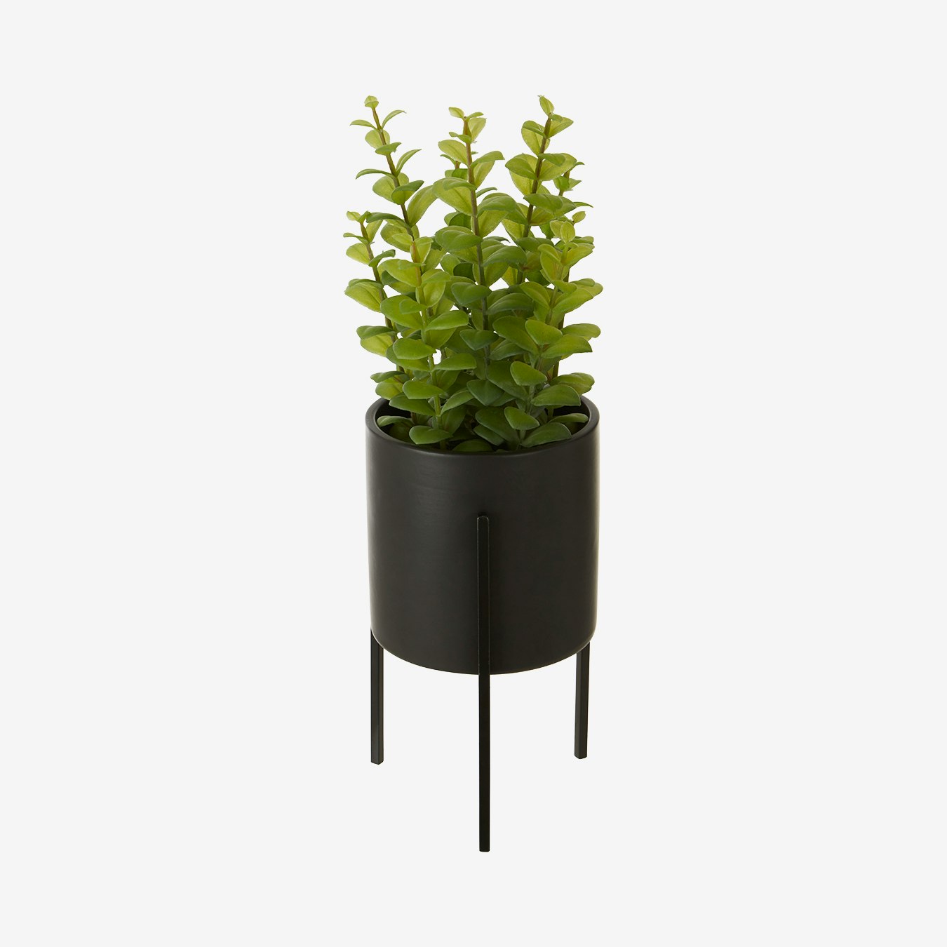 Fiori Thyme - Faux Plant and Pot - Black - Ceramic / Iron by Fifty Five South