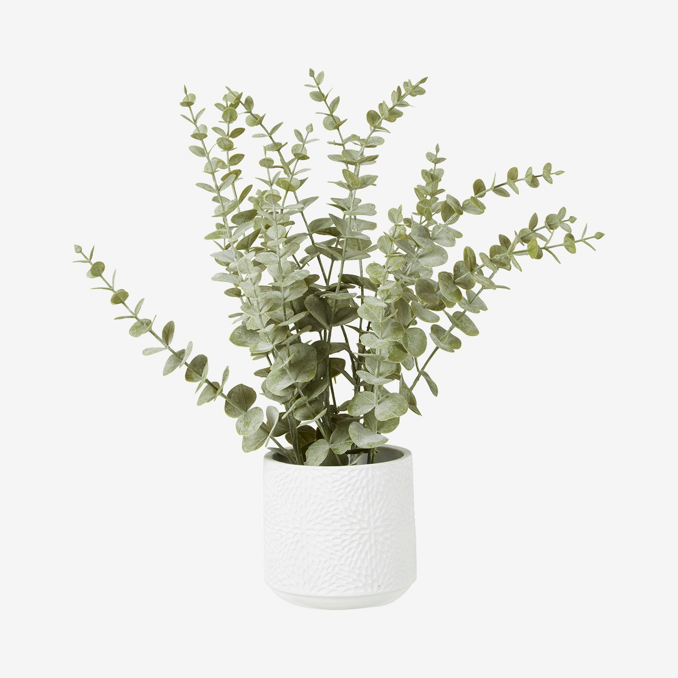 Fiori Eucalyptus - Faux Plant and Pot - White - Ceramic by Fifty Five South