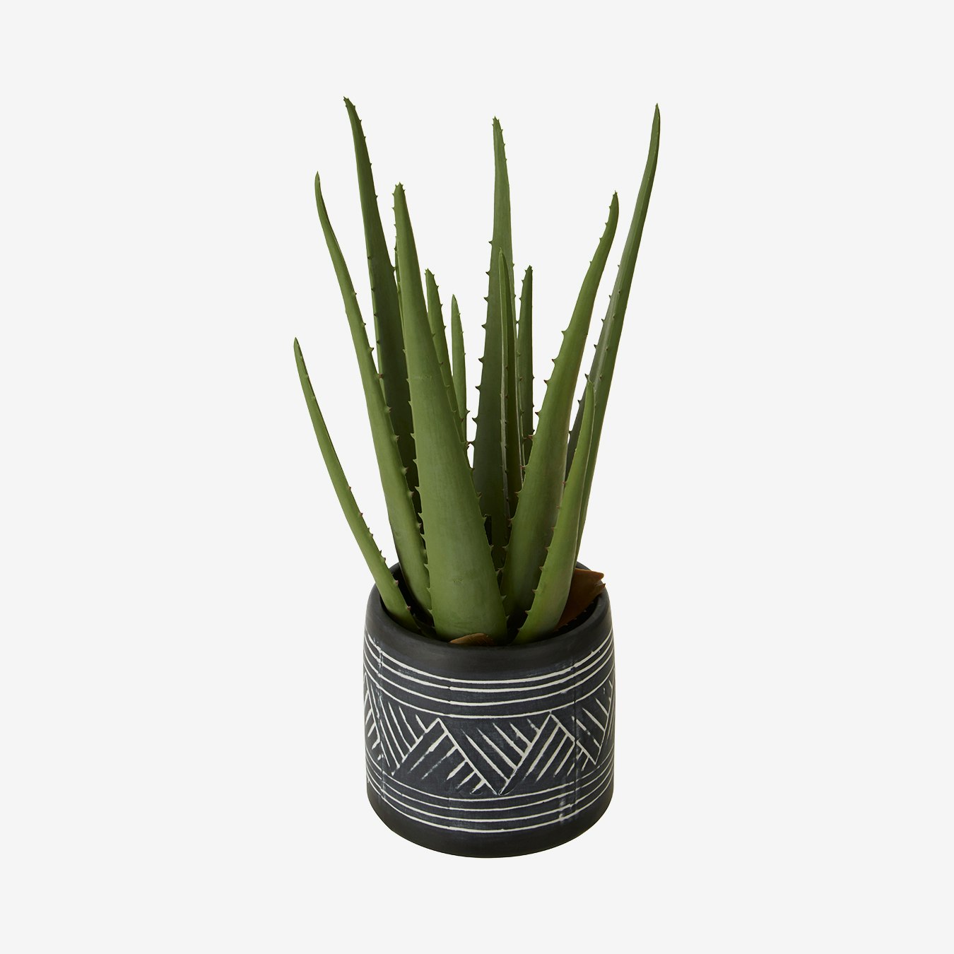 Fiori Aloe Vera - Faux Plant and Pot - Black / White - Ceramic by Fifty Five South