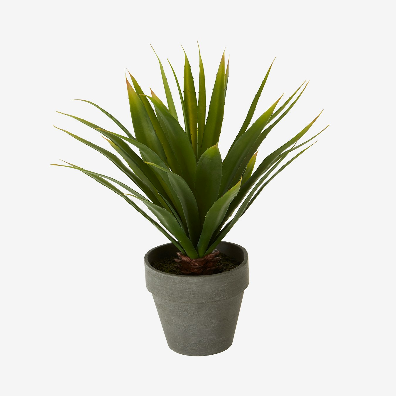 Fiori Agave - Faux Plant and Pot - Grey - Concrete / Foam by Fifty Five South